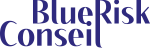 logo-BlueRisk-sansbl-sansfond-enbleu